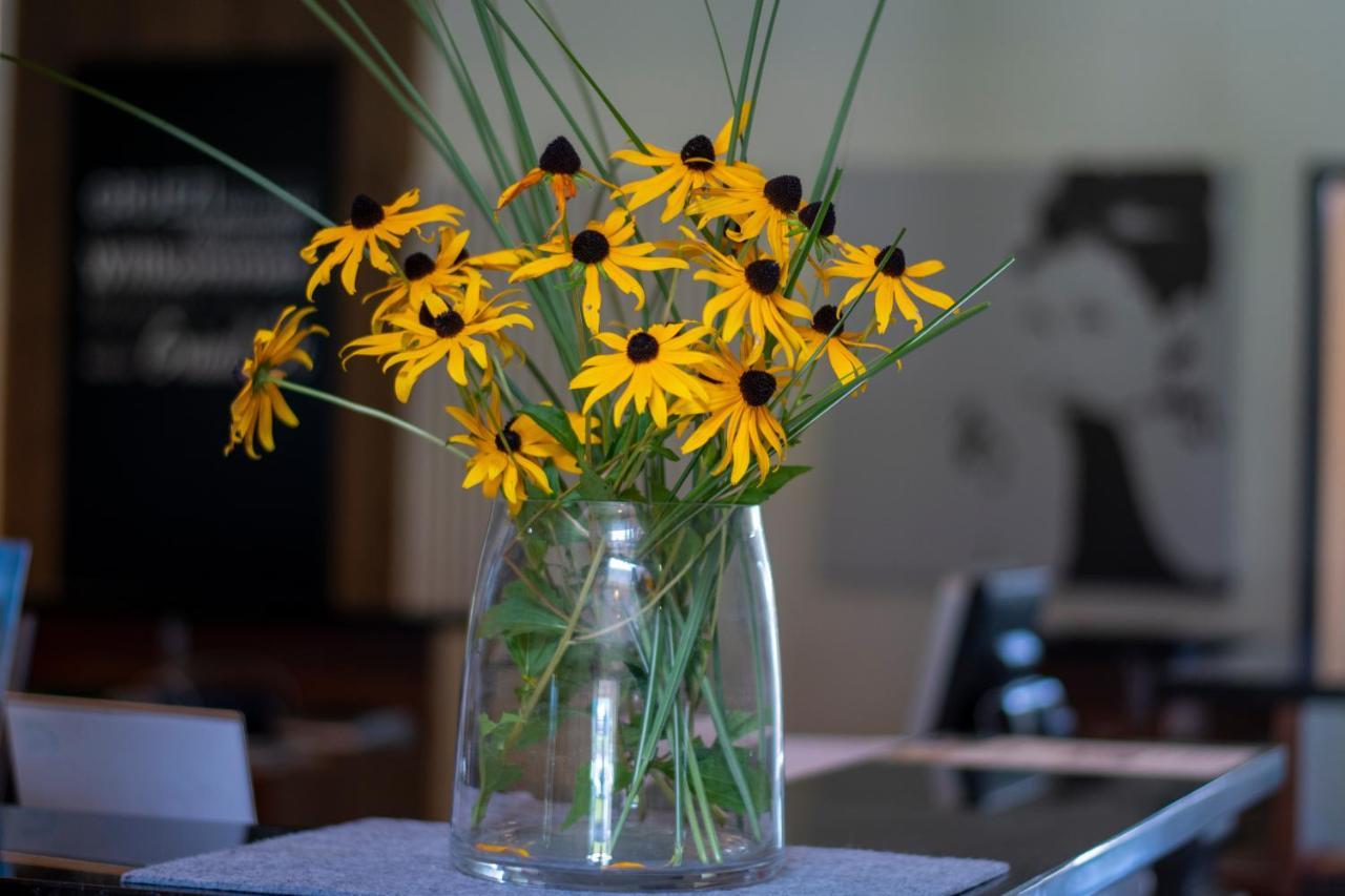 Vitalhotel Quellengarten - Bed & Breakfast لينغيناو المظهر الخارجي الصورة